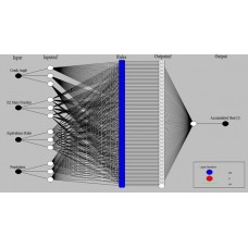 Exhaust emissions prognostication for DI diesel group-hole injectors using a supervised artificial neural network approach