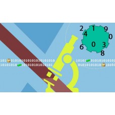 پروژه شبیه‌سازی عددی جریان سیال درون کانال با محیط متخلخل با استفاده از روش بولتزمن شبکه‌ای با استفاده از نرم افزار فرترن 